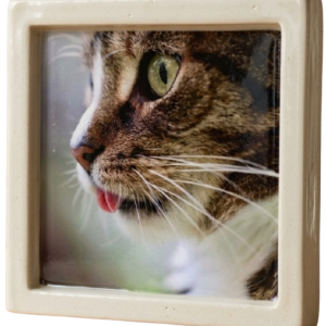 Square with a border